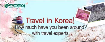 국내여행
